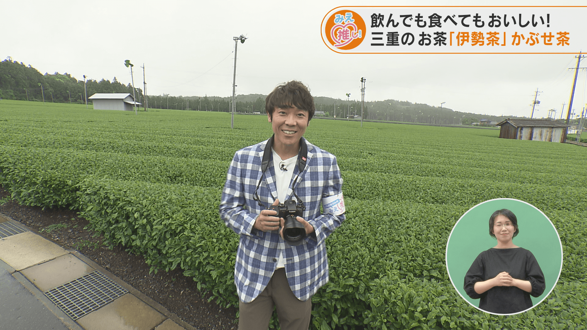 飲んでも食べてもおいしい！三重のお茶「伊勢茶」かぶせ茶