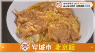 新人アナが、愛知県安城市と刈谷市の地元に愛される人気メニューを全力で紹介！
