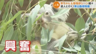 「動物園検定」殿堂入りした動物知識王が語る、ツウな動物園の楽しみ方