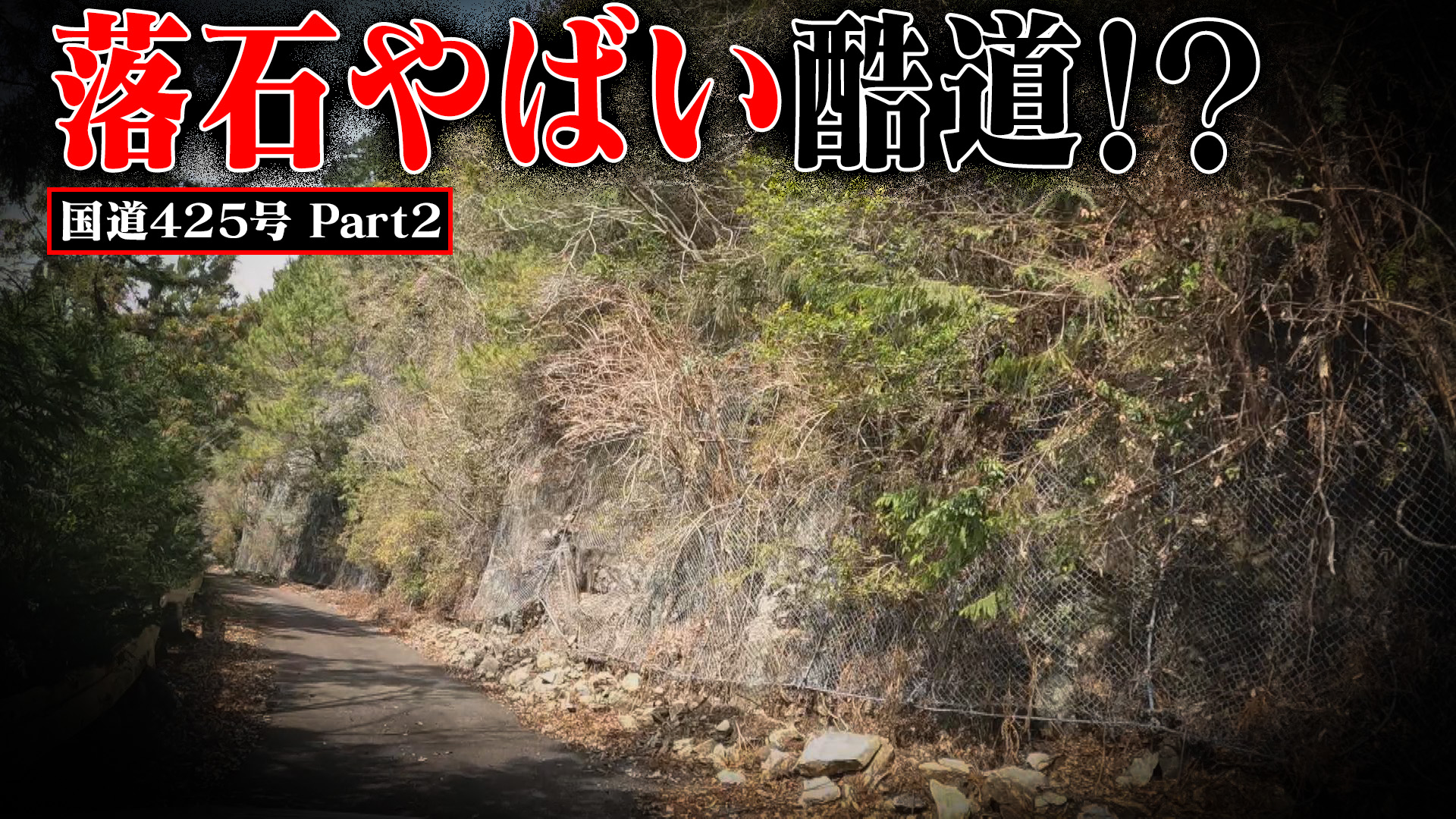 酷道走ってみたら・・・【国道425号】Part 2