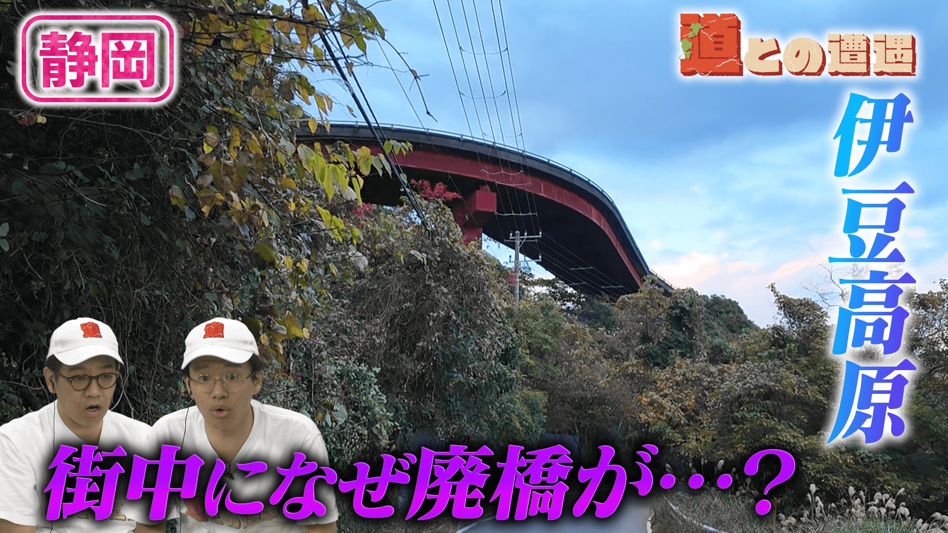 【静岡】伊豆高原に眠る“謎の廃ループ橋”【道との遭遇】