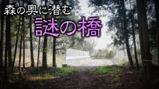 【道マニア】千葉・未開通道路の先に潜む謎の橋の正体【道との遭遇】