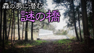 【千葉】未開通道路の先に潜む謎の橋の正体