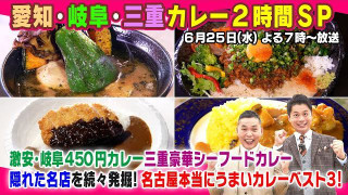 隠れた名店を続々発掘!愛知・岐阜・三重 カレー2時間SP