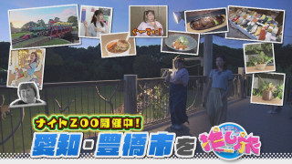 伊賀にオープンした忍者施設！３時のヒロイン豊橋市の旅【花咲かタイムズ】