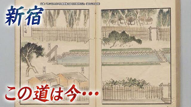 【新宿の歴史】この道は今…