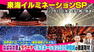 【太田×石井のデララバ】東海イルミネーションSP