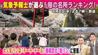 【太田×石井のデララバ】愛知岐阜三重 桜の名所
