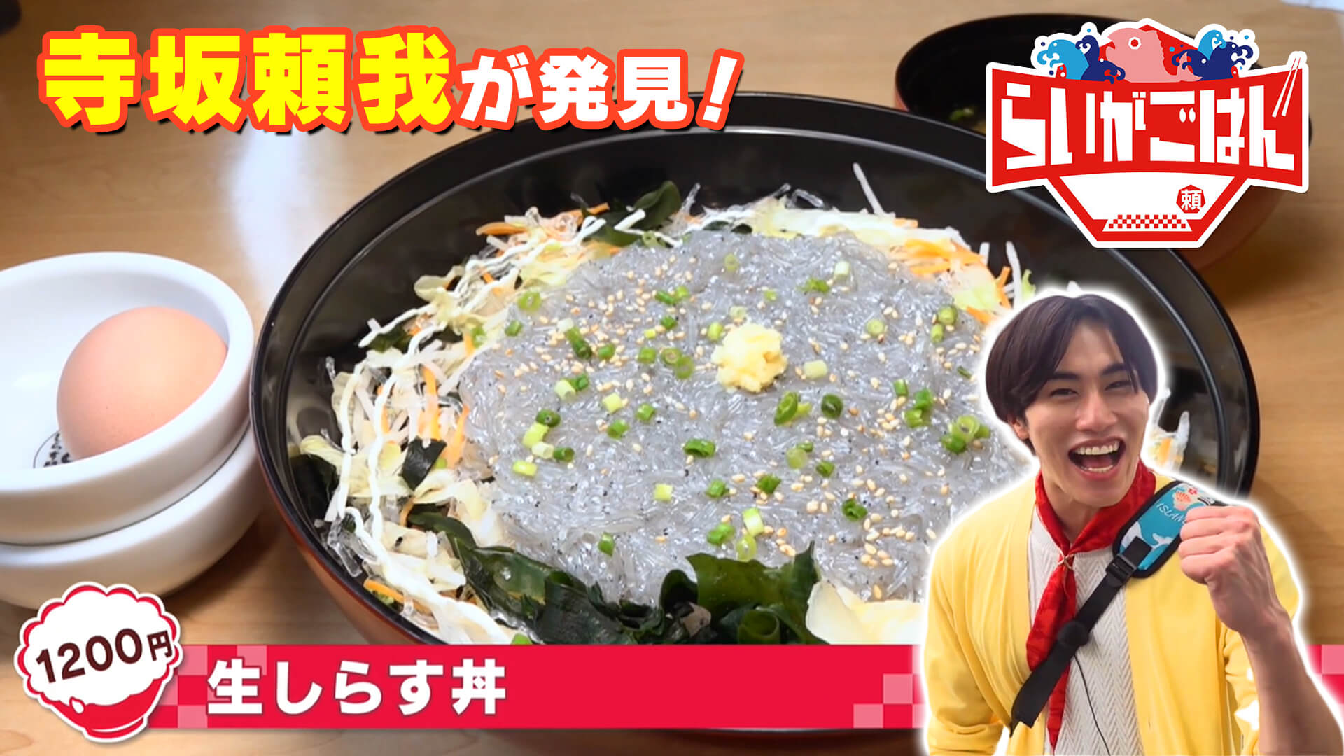 寺坂頼我が神奈川県藤沢市江の島で「生しらす丼」を調査。キラキラ新鮮！朝獲れシラスを満喫！