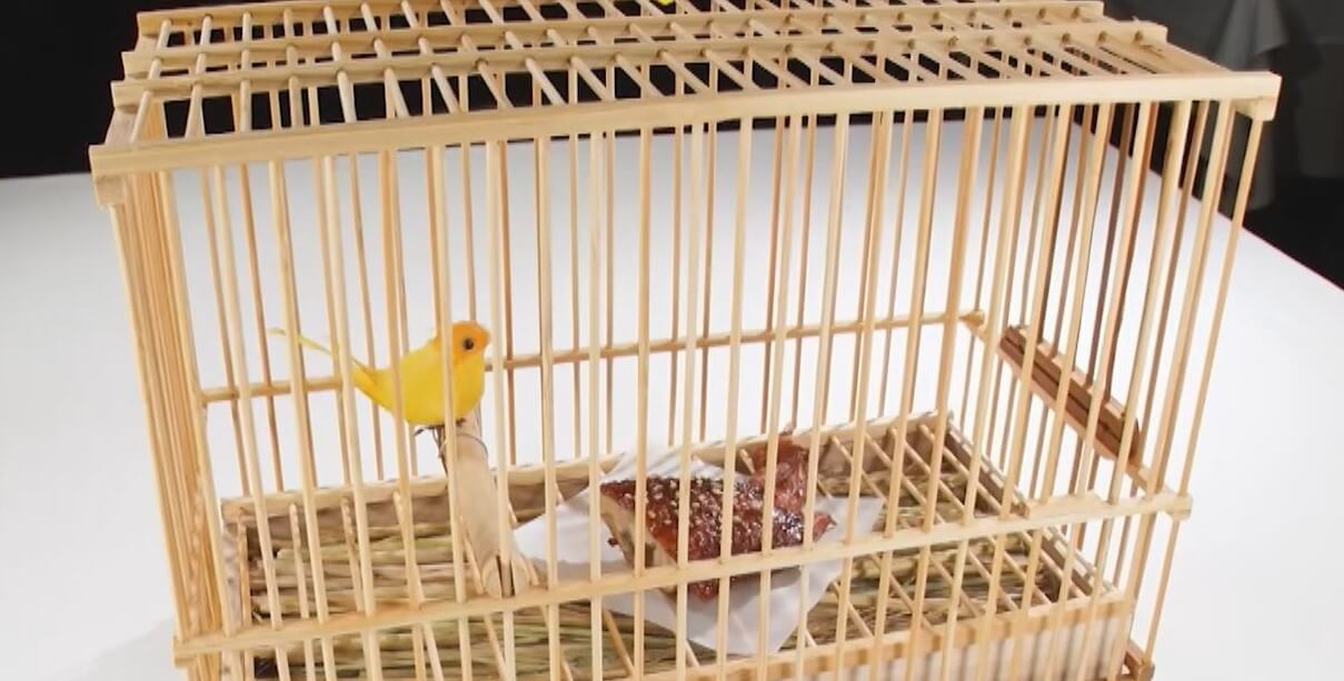 “鳥かごに入った手羽先“は本物の料理！？見た目のインパクト強すぎ！実在する料理はどっち？