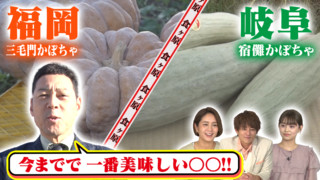 激突!食ヶ原の戦い