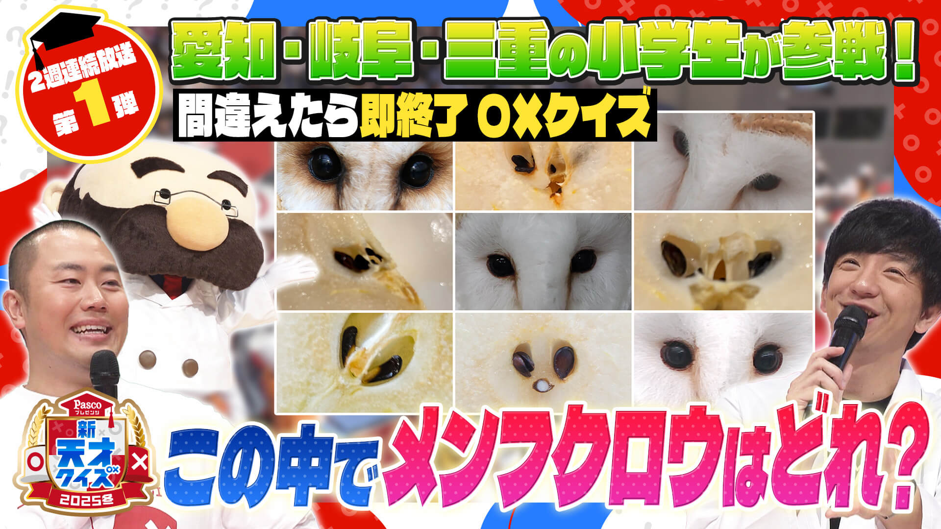 【新天才クイズ】～２０２５冬～小学生の〇×バトル！