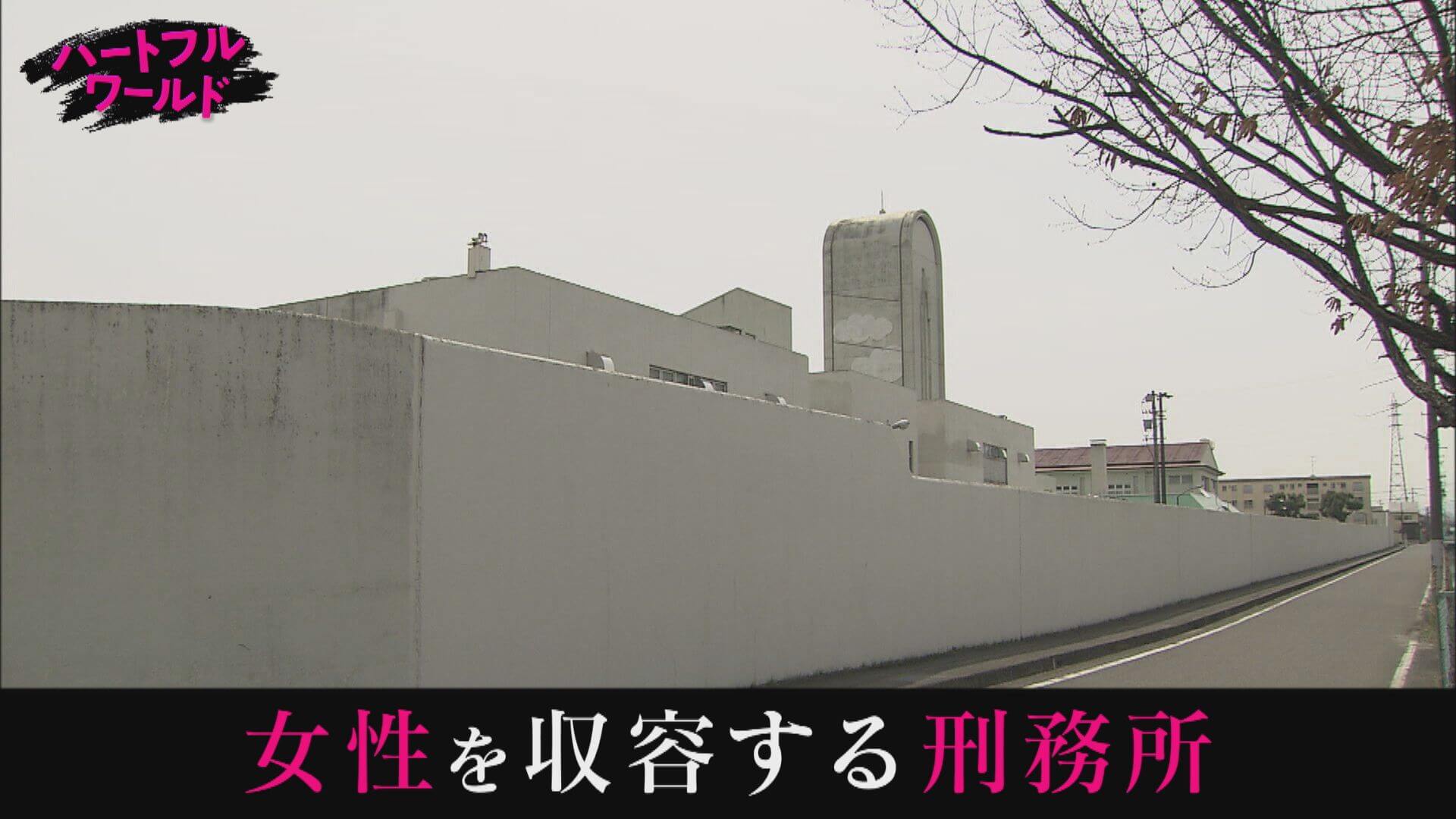 【#20】 “獄中結婚”した妻…出所の日【ハートフルワールド】