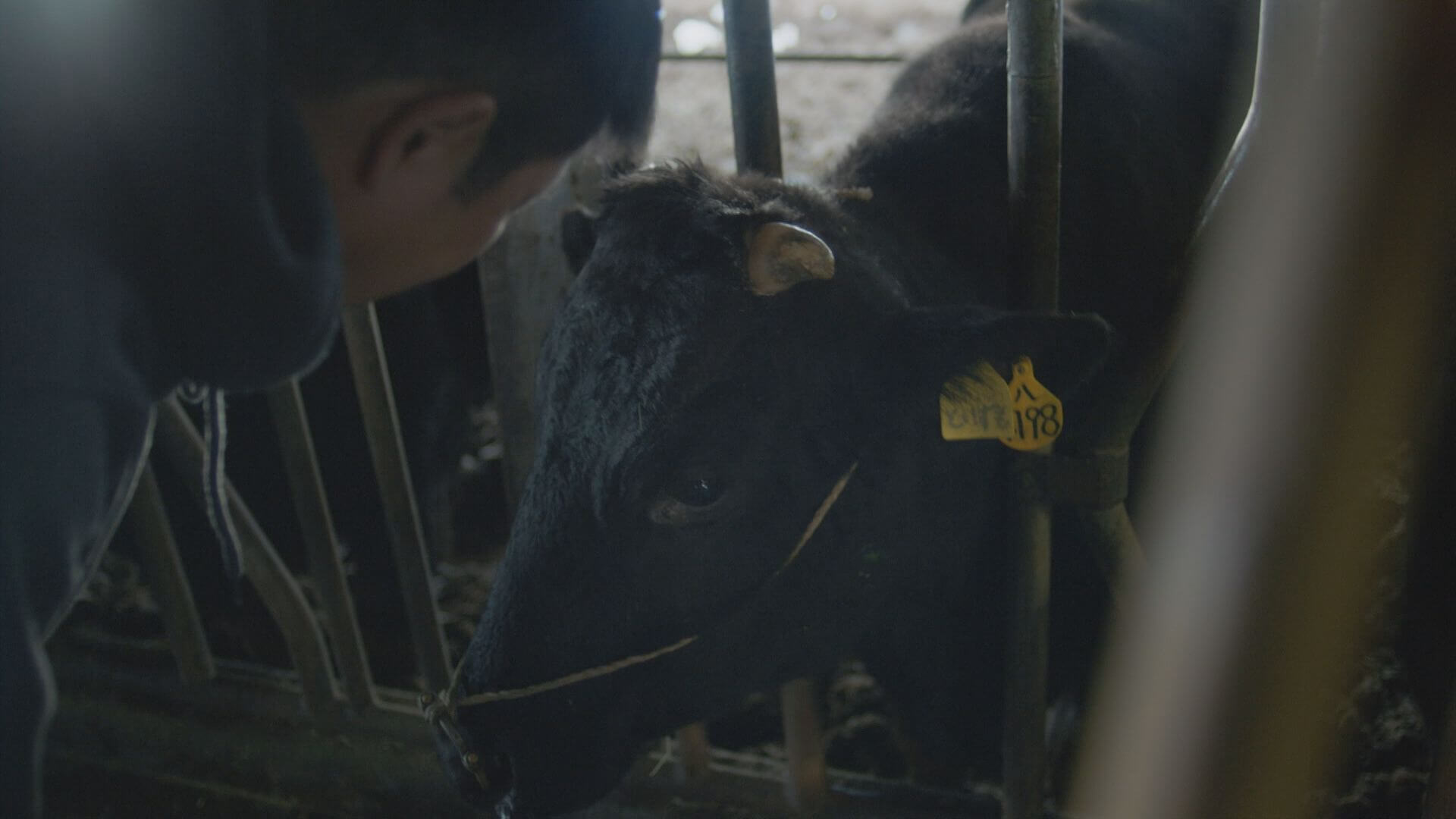 命はみんなお母さんから【DINNER WITH SIGGY】