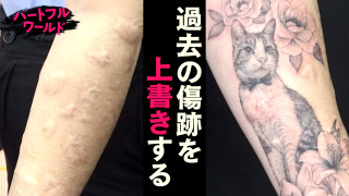 【#23】傷跡を覆うタトゥー 29歳女性の決意【ハートフルワールド】