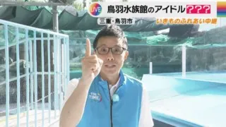 CBC若狭アナが体重600キロのセイウチとふれあい！かわいい仕草に思わずアフレコ！