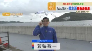 CBC若狭アナが鳥羽から秋に旨いブランド魚を紹介！頭上の“カモメ？”と一緒に食リポ！