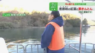 CBC若狭アナが秋の恵那峡の絶景を生実況！岐阜発祥の和菓子「栗きんとん」を食リポ！