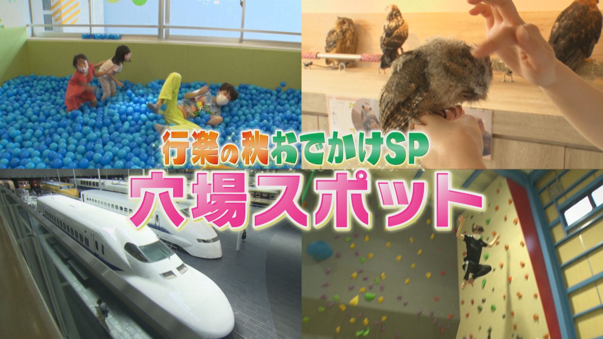 100円遊び場？もふもふ動物園？スリル日本一！？愛知の新穴場スポット大調査！【花咲かタイムズ】