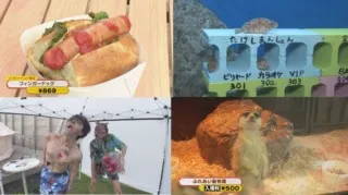 お出かけの達人に聞いた！ GWにまだ間に合う 東海地方穴場スポット
