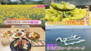 渥美半島で海上アスレチック＆贅沢ホテルブッフェを楽しむ！夏休みにオススメの伊良湖周辺“最新おでかけスポット”