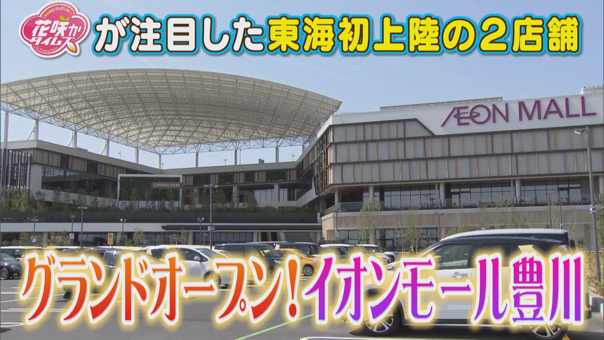 【イオンモール豊川】月6000個売れるりんごスイーツ＆びっくりグミが大集合！【うなずキング】