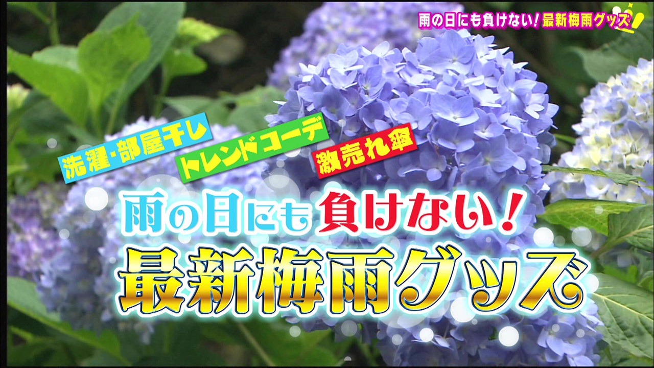 雨の日にも負けない!お値打ちなのに使える!便利でオシャレな梅雨グッズ特集