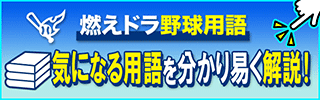 燃えドラ野球用語