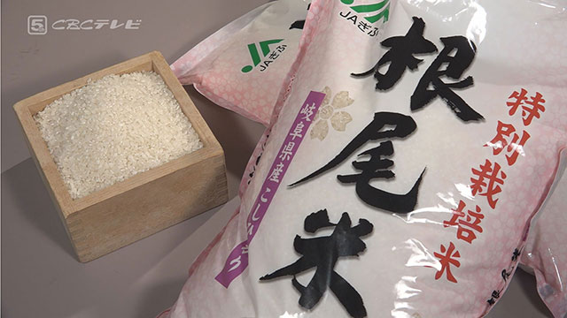 根尾フィーバーで岐阜 旧根尾村 がよもやの盛り上がり 応援団設立へ 団長 根尾米食べて 地元アスリート全力応援サイト High Five Web Cbcテレビ