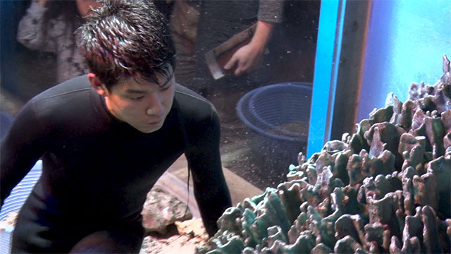 年3回水抜き大掃除 魚の命を守る飼育員 木村亮太さん(23歳)