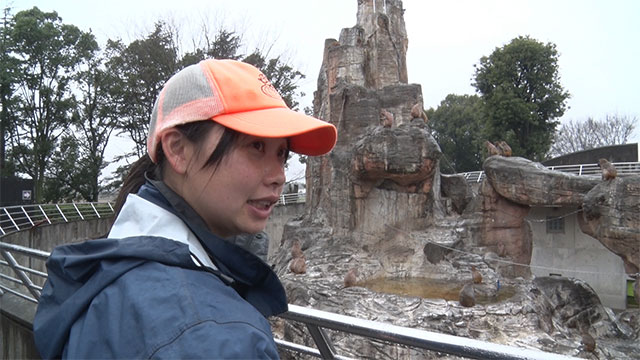 動物園 飼育係