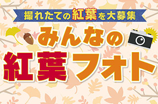 撮れたての紅葉を大募集 みんなの紅葉フォト