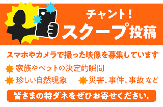 チャント Cbcテレビ 毎週月 金曜 午後3 49 放送