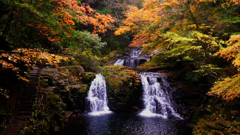 太田×石井のデララバ　生放送！紅葉の名所ランキング２時間SP
