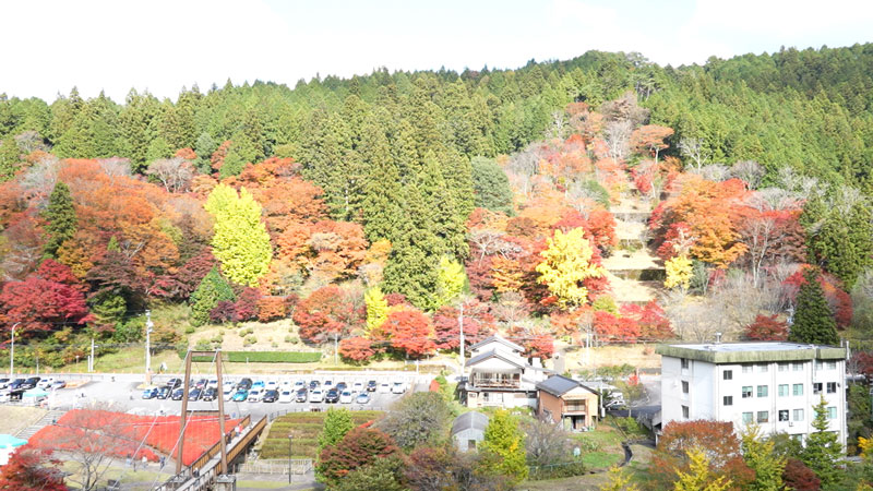 太田×石井のデララバ　生放送！紅葉の名所ランキング２時間SP