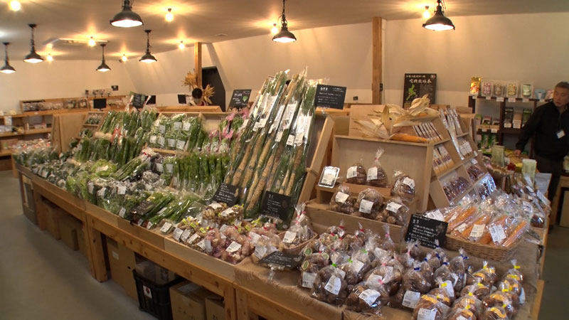 太田×石井のデララバ　伊勢神宮の近く！ヴィソンSP