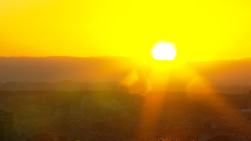 太田×石井のデララバ　生放送！東海地方の年末年始「知られざる風習」２時間ＳＰ