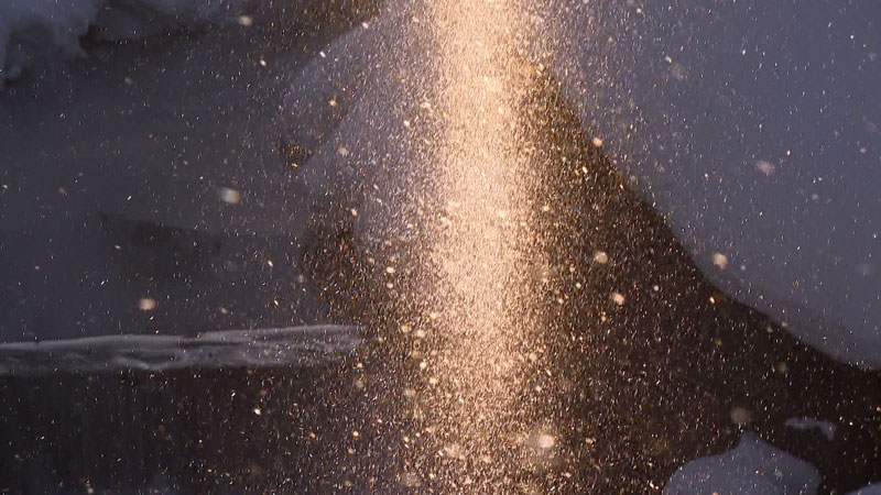 太田×石井のデララバ　東海地方　冬の絶景