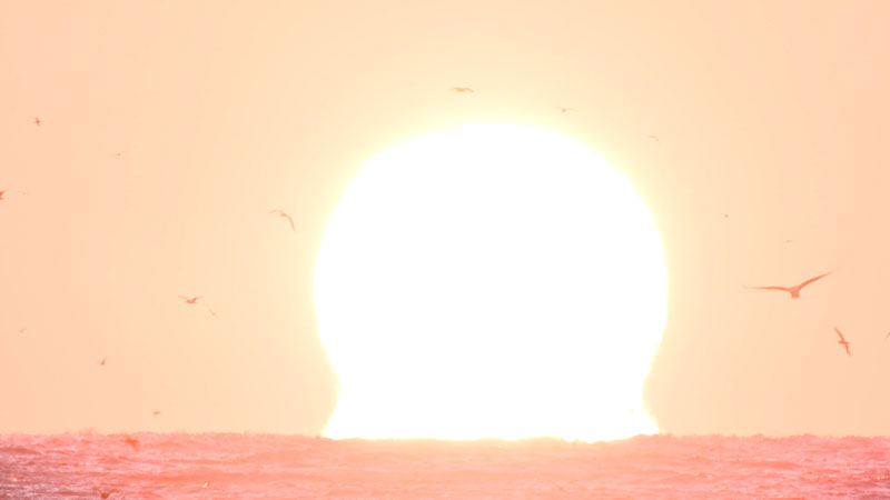 太田×石井のデララバ　東海地方　冬の絶景