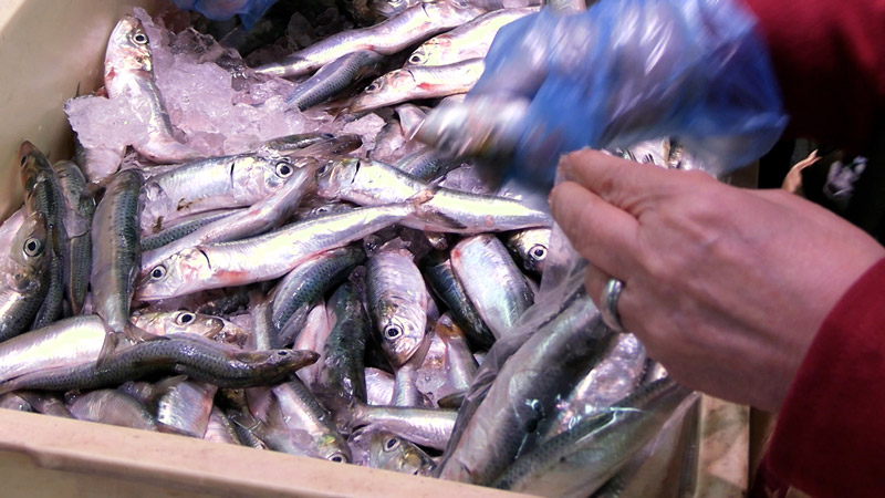 太田×石井のデララバ　激安スーパー密着