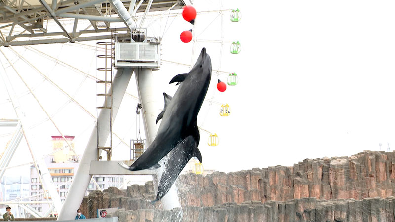 太田×石井のデララバ　ＧＷ行きたい場所ランキング2時間SP