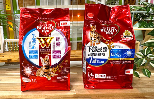 ビューティープロ キャット 2種セット