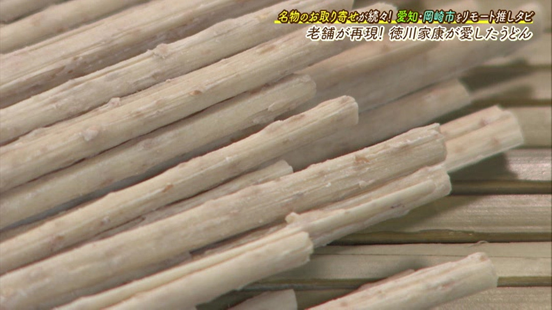 徳川家康が愛した「うどん」!?岡崎プレミアムみやげ認定品をお取り寄せ!