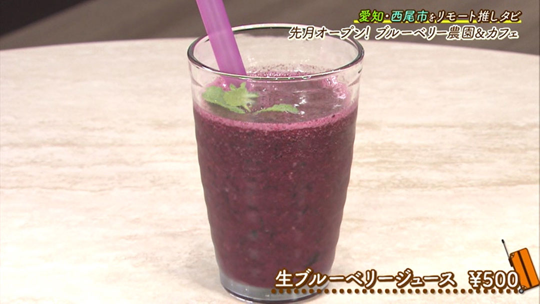 今が旬!時間無制限で食べ放題の「ブリーベリー狩り」