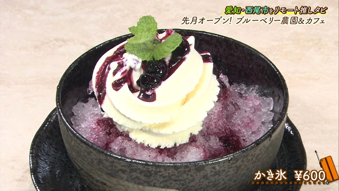今が旬!時間無制限で食べ放題の「ブリーベリー狩り」