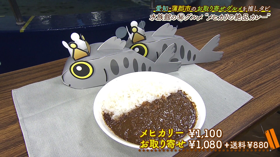 竹島水族館で大人気!深海魚“メヒカリ