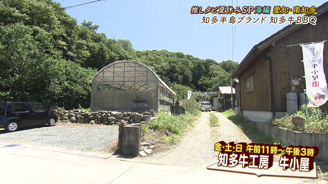 超希少部位も!絶品知多牛を産地価格でいただける炭火焼BBQ!