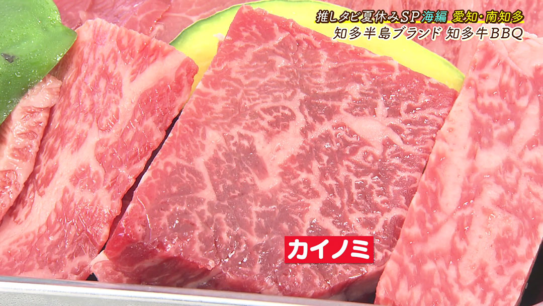 超希少部位も!絶品知多牛を産地価格でいただける炭火焼BBQ!