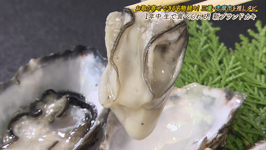 プリプリ食感がたまらない!お取り寄せでも生で食べられる牡蠣!