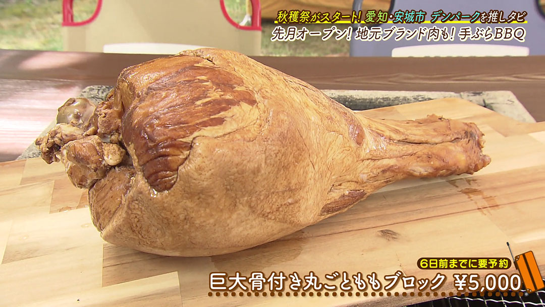 準備不要!三河産絶品食材やマンガ肉の様な巨大ハムまで楽しめる“手ぶら
